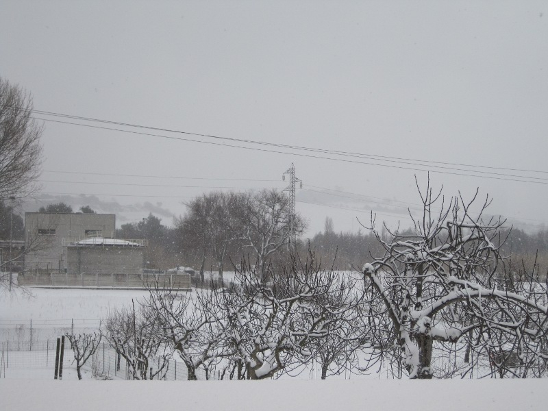 La zona attorno al depuratore