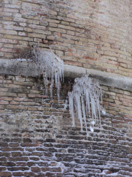 Ghiaccio formatosi sulle mura della Rocca Roveresca
