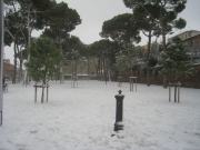 Neve ai giardini Catalani di Senigallia