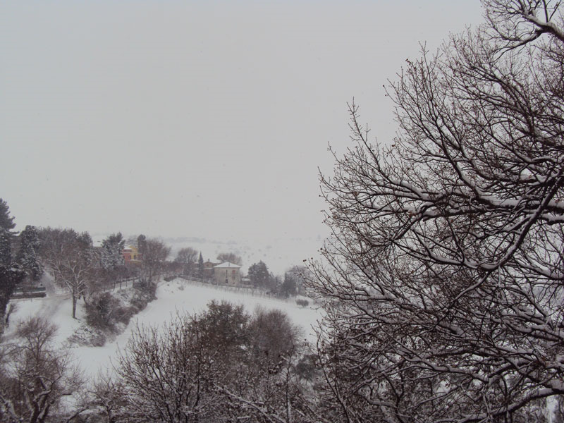 Colline intorno a Corinaldo la mattina del 3 febbraio