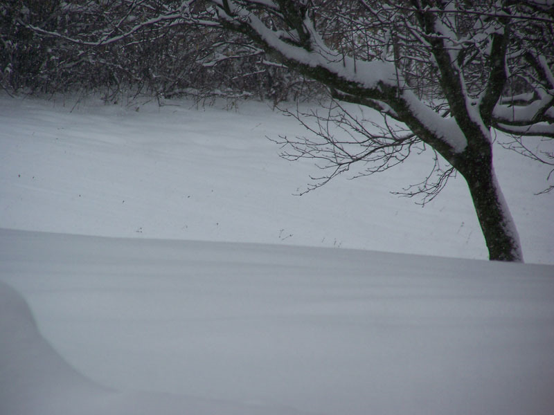 Zona Vallone di Senigallia coperta da una coltre bianca