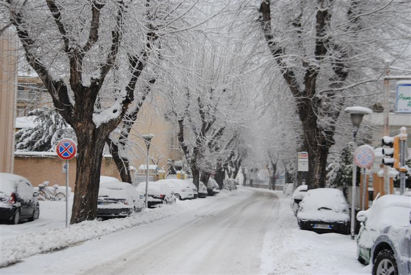 Viale IV Novembre, Senigallia