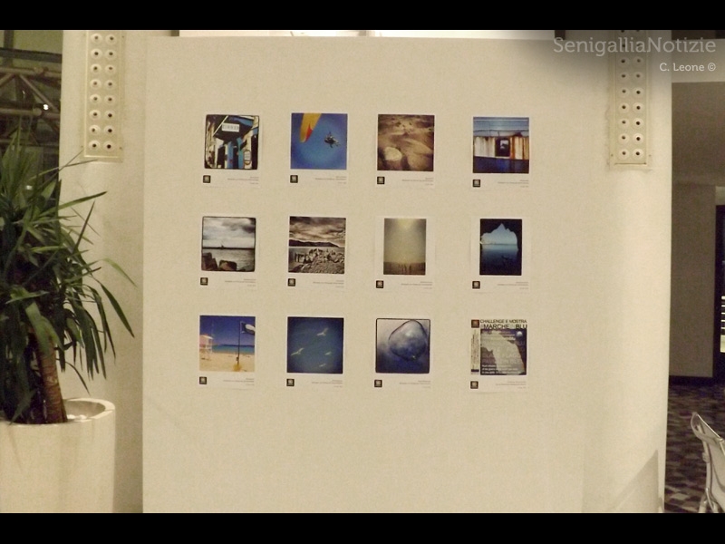 Mostra alla Rotonda di Senigallia #marcheinblu