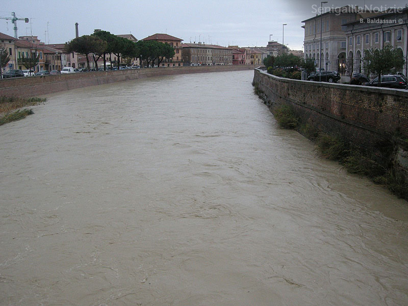 15/11/2012 - Il fiume Misa in piena