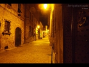 26/11/2012 - Scorcio notturno di Ostra