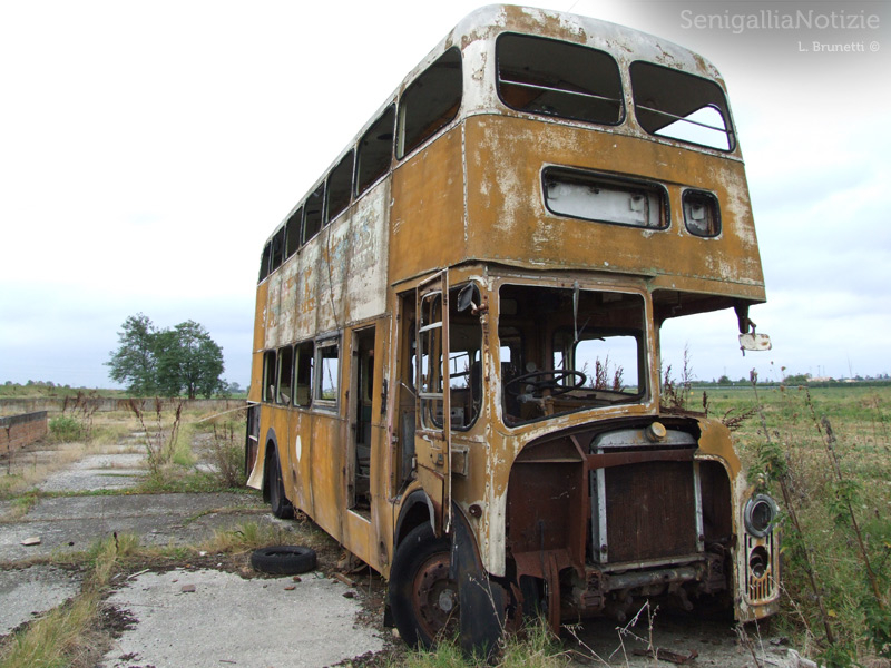 02/11/2013 - Era un bus inglese a due piani...