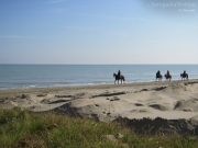 22/11/2013 - A cavallo in riva al mare