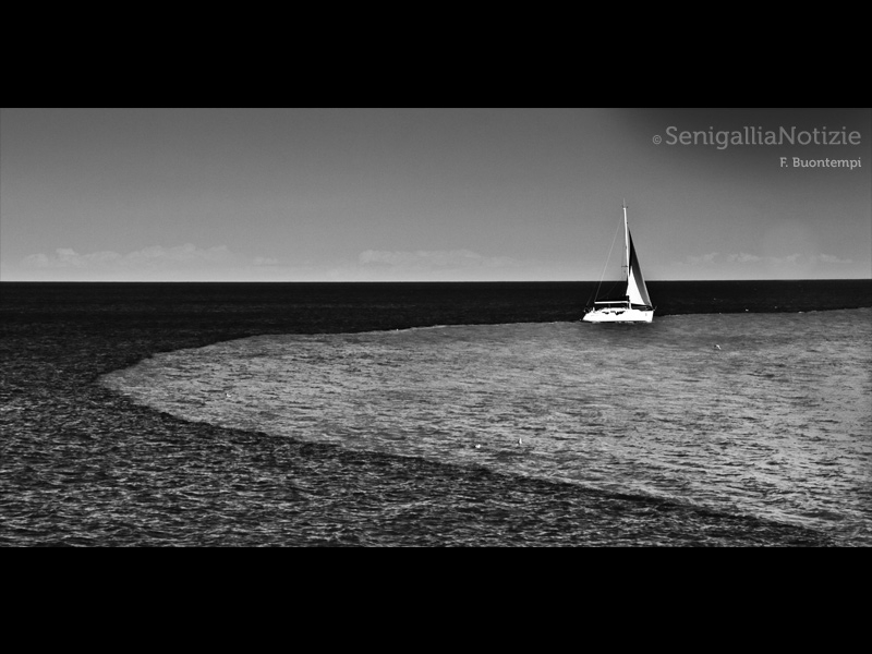 1511/2014 - In barca a vela...