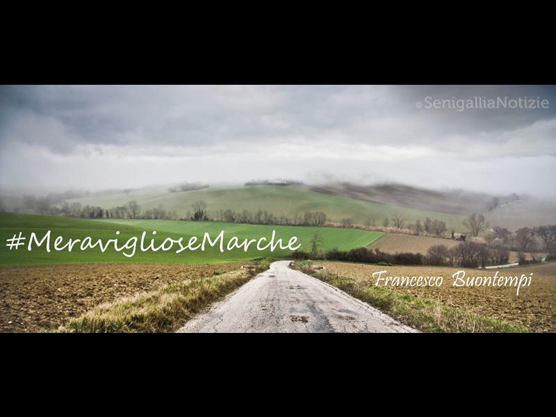 25/11/2014 - Meravigliose Marche