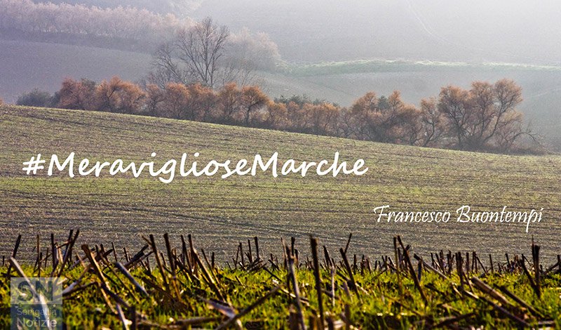 09/11/2015 - Meravigliose Marche