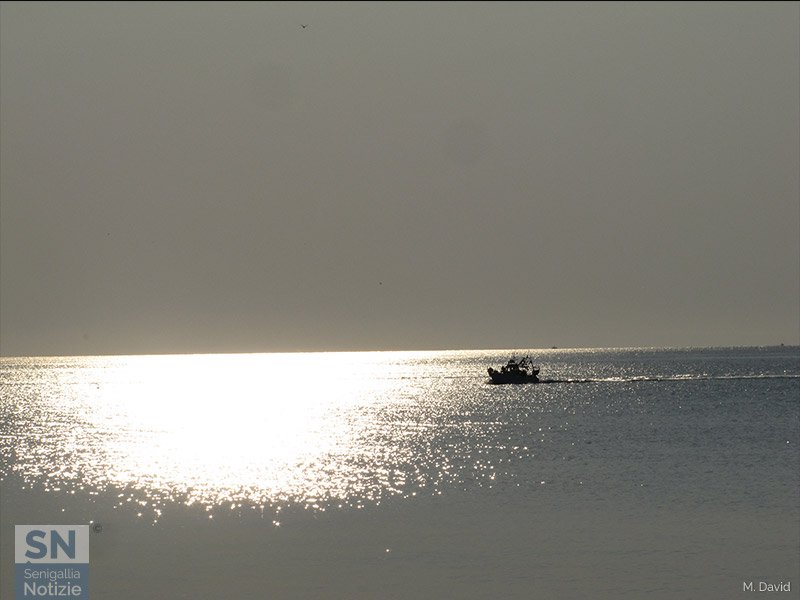 10/11/2015 - Peschereccio