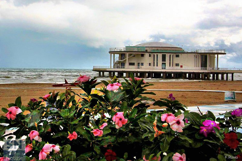 13/11/2016 - Primavera o autunno?