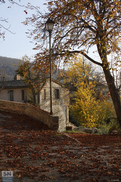 17/11/2016 - Il tramonto dei colori