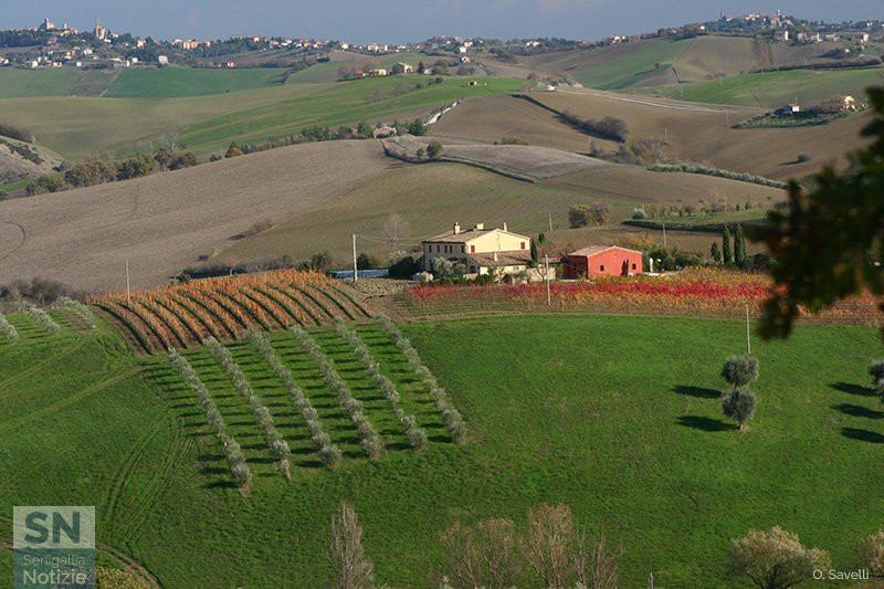 26/11/2016 - Piccole ombre