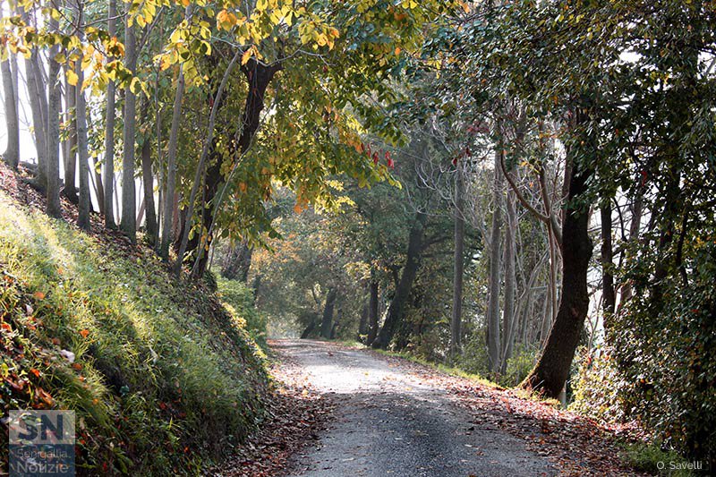 02/11/2017 - La discesa