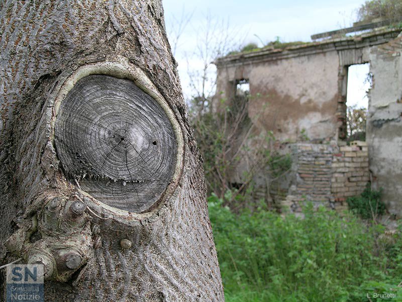 05/11/2017 - Quel che resta