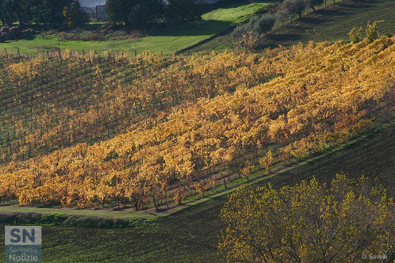 06/11/2017 - Contrasti