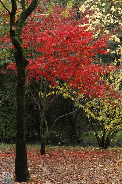09/11/2017 - Il fuoco dentro