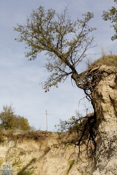 14/11/2017 - La tenacia