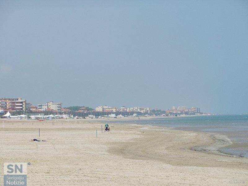 24/11/2017 - Pulizie autunnali