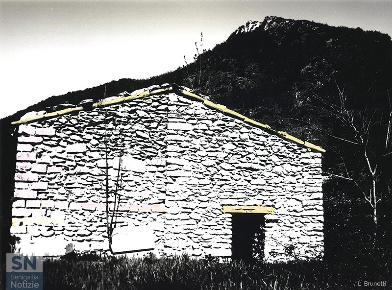 26/11/2017 - Casa in bianco e nero... e giallo