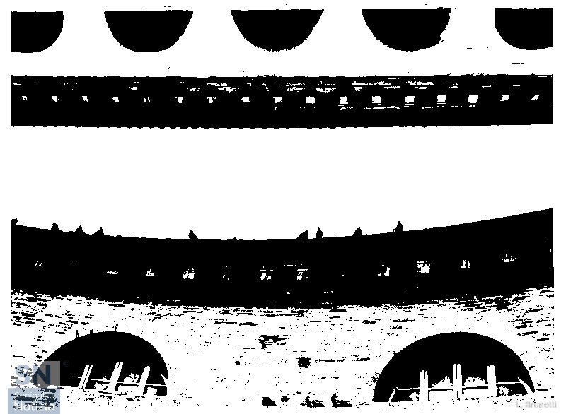 30/11/2017 - Visioni del Foro Annonario