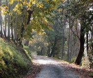 02/11/2017 - La discesa