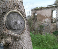 05/11/2017 - Quel che resta