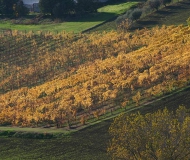 06/11/2017 - Contrasti