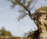 14/11/2017 - La tenacia