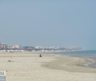 24/11/2017 - Pulizie autunnali