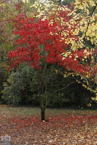 24/11/2018 - Contrasti