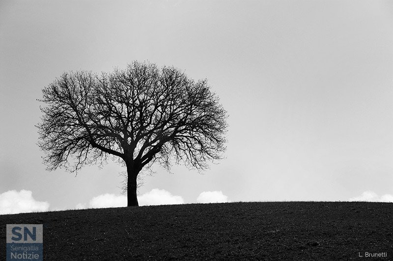 02/11/2019 -Solo in collina