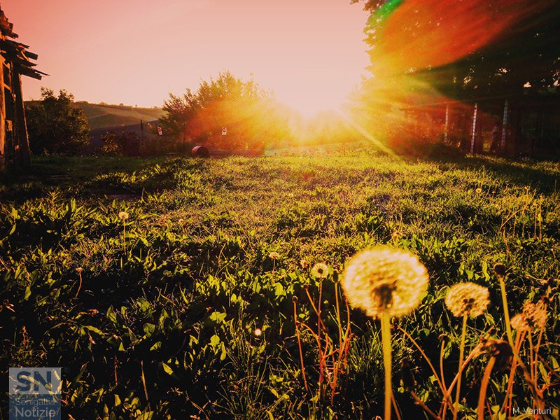 04/11/2019 - Esprimo il mio desiderio