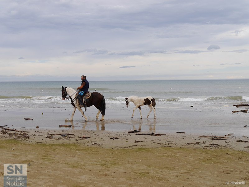 30/11/2019 - Segui le orme