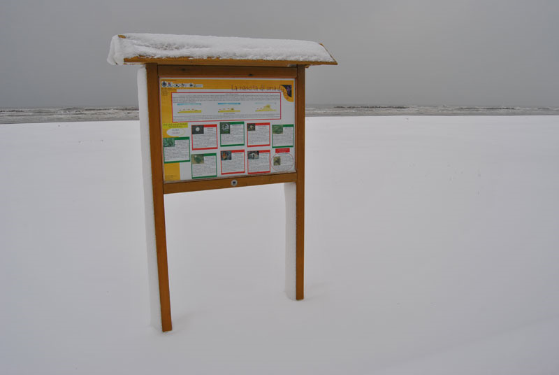 Senigallia, piaggia di ponente