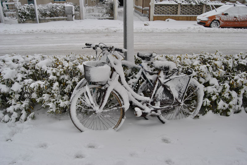 Bici rimaste sotto la bufera