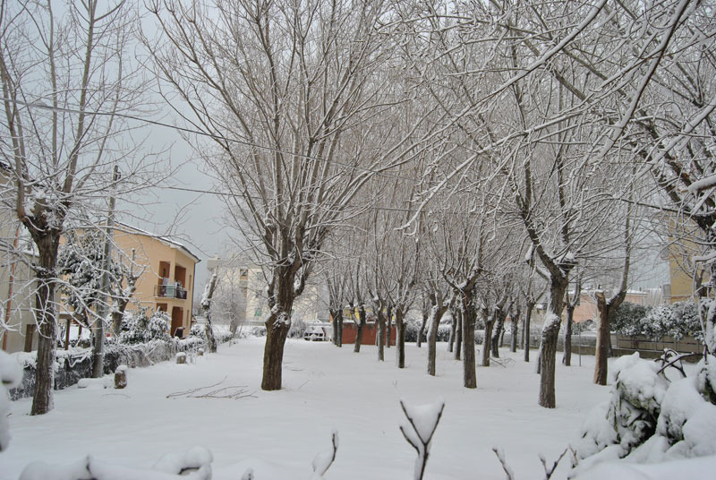 Paesaggio imbiancato