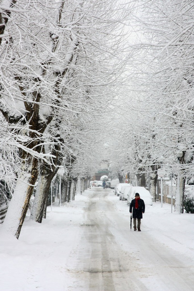 Viale ghiacciato