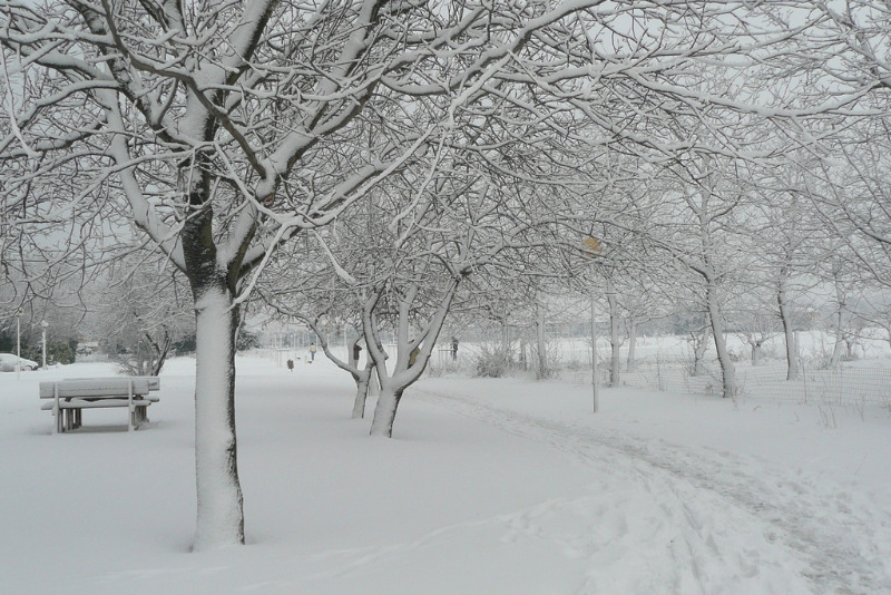 Pista ciclabile verso la Cesanella