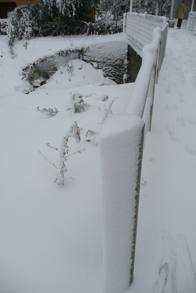 Pista ciclabile verso la Cesanella