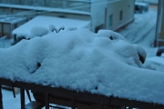 Neve da un balcone di Senigallia