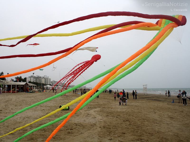 03/10/2012 - Aquiloni sulla spiaggia di Senigallia
