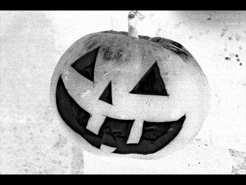 31/10/2012 - Happy Halloween!