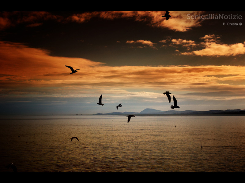 09/10/2013 - I colori del tramonto