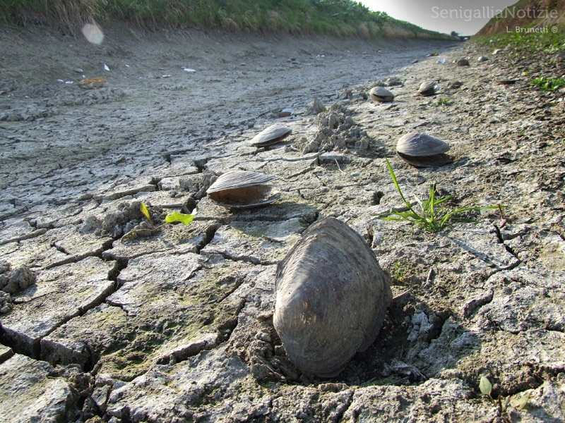 27/10/2013 - Siccità