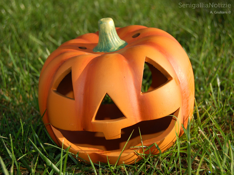 31/10/2013 - La zucca di Halloween