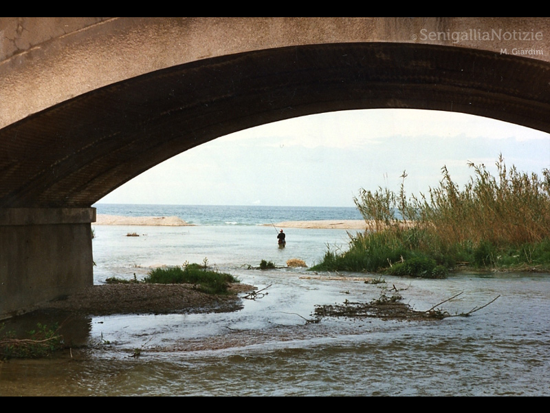 02/10/2014 - La foce del Cesano: la più bella sei tu!
