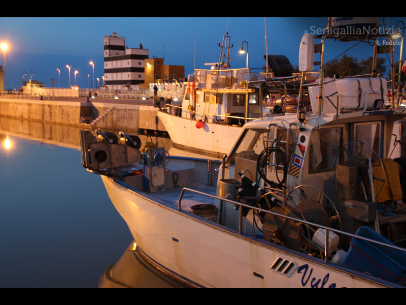 05/10/2014 - Pescherecci al porto di Senigallia