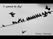 16/10/2014 - I want to fly